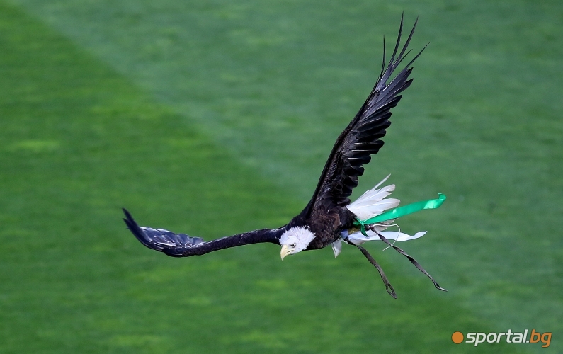  Лудогорец - МОЛ Види 